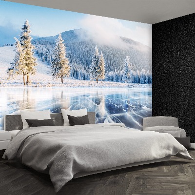 Mural de parede Lago congelado