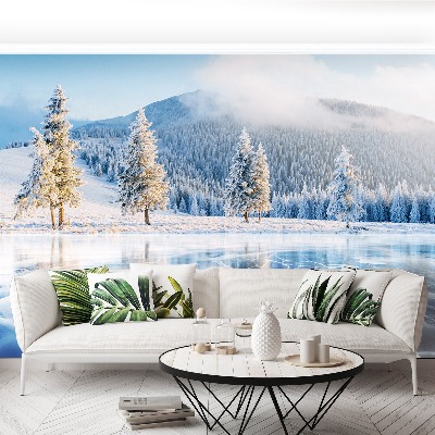 Mural de parede Lago congelado