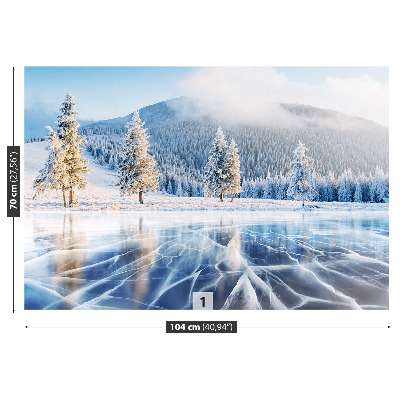Mural de parede Lago congelado