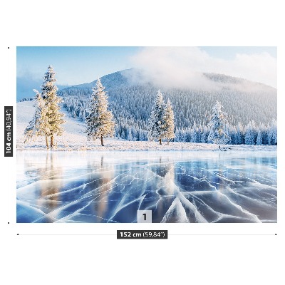 Mural de parede Lago congelado