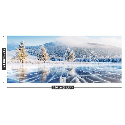 Mural de parede Lago congelado