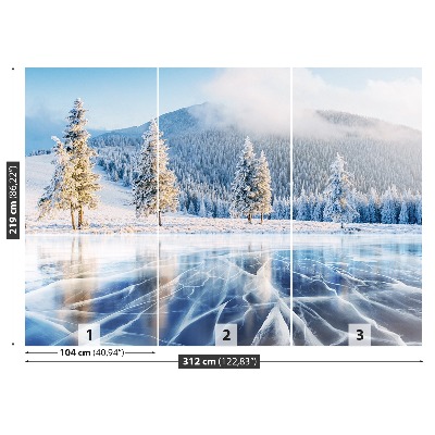 Mural de parede Lago congelado