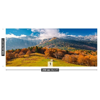 Mural de parede Montanhas no outono