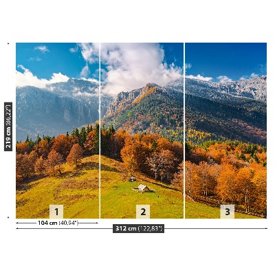 Mural de parede Montanhas no outono