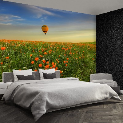 Papel de parede Prado de Balões