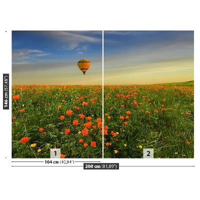 Papel de parede Prado de Balões