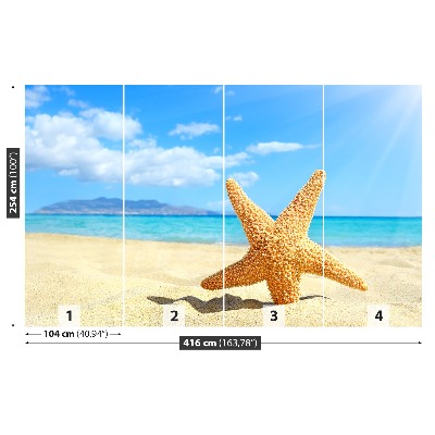 Papel de parede Praia das Estrelas do Mar