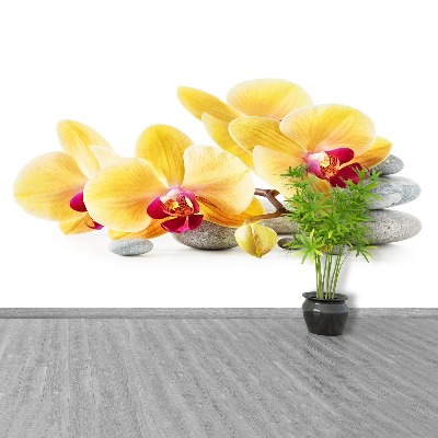 Mural de parede Amarelo Orquídea