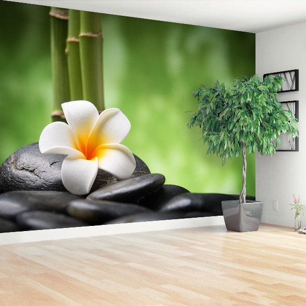 Mural de parede Spa de flores