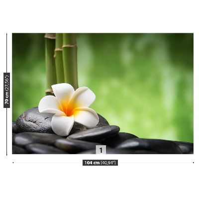 Mural de parede Spa de flores