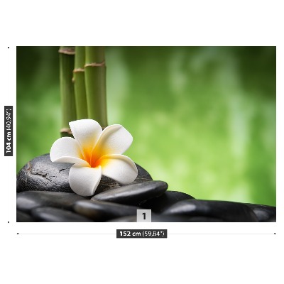 Mural de parede Spa de flores