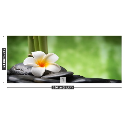 Mural de parede Spa de flores