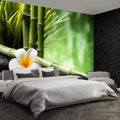 Papel de parede Bambu Frangipani