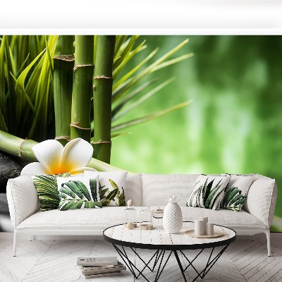 Papel de parede Bambu Frangipani