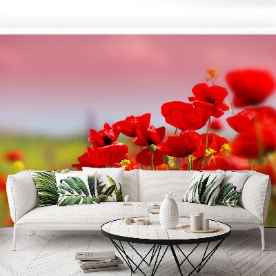 Papel de parede Campo de papoulas