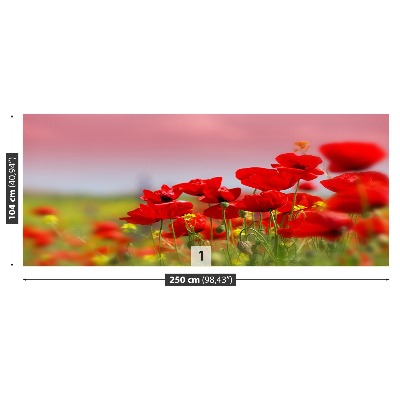 Papel de parede Campo de papoulas