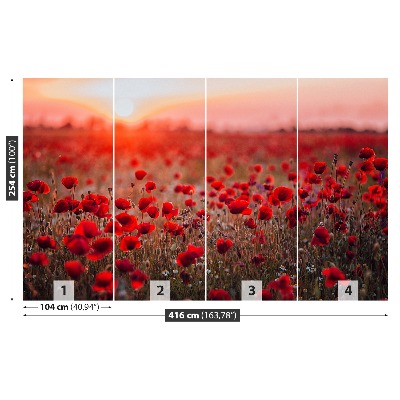 Papel de parede Campo de papoulas