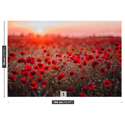 Papel de parede Campo de papoulas