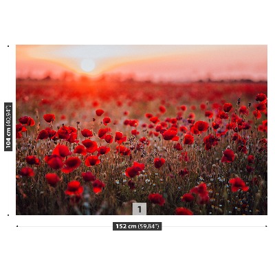 Papel de parede Campo de papoulas