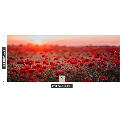 Papel de parede Campo de papoulas
