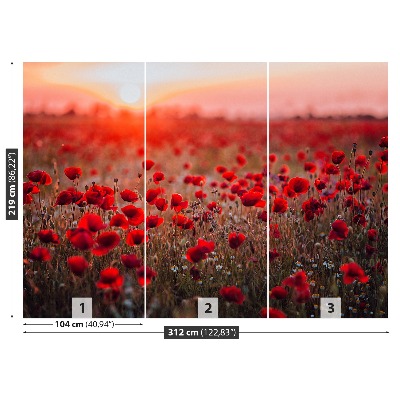 Papel de parede Campo de papoulas