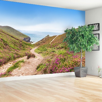 Mural de parede Cornualha Atlântica