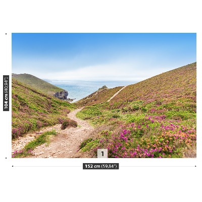 Mural de parede Cornualha Atlântica