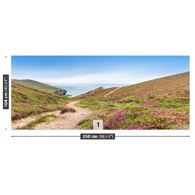 Mural de parede Cornualha Atlântica