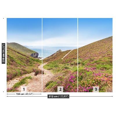 Mural de parede Cornualha Atlântica