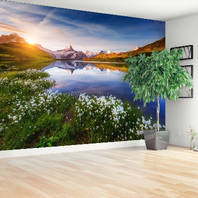 Mural de parede Monte Schreckhorn