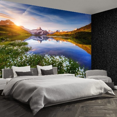 Mural de parede Monte Schreckhorn