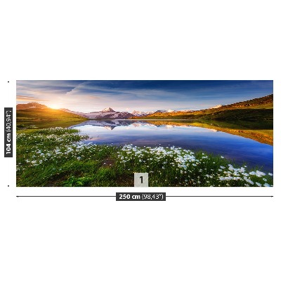 Mural de parede Monte Schreckhorn