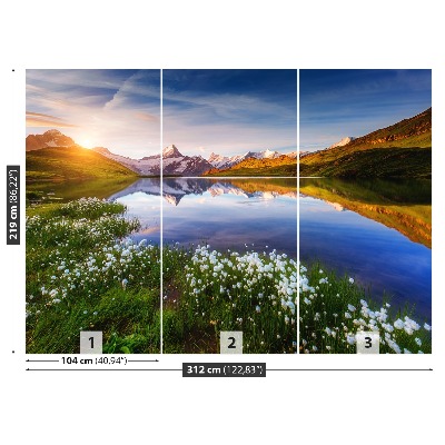 Mural de parede Monte Schreckhorn