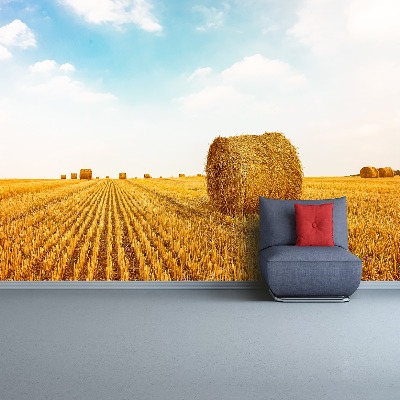 Papel de parede fardos de palha