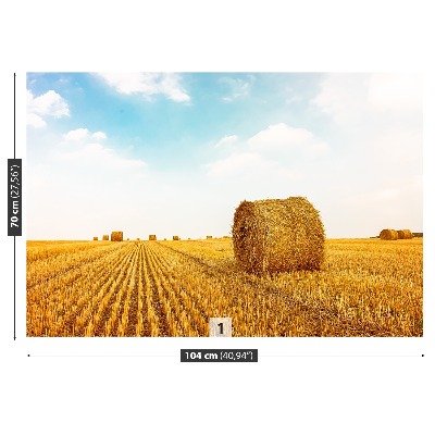 Papel de parede fardos de palha