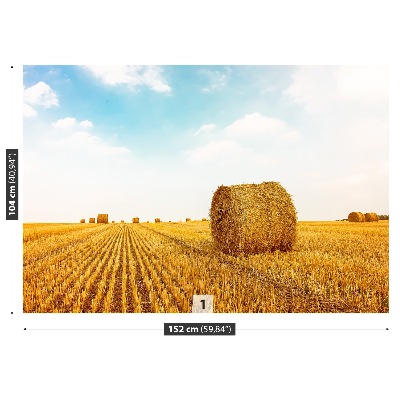 Papel de parede fardos de palha