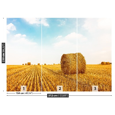 Papel de parede fardos de palha