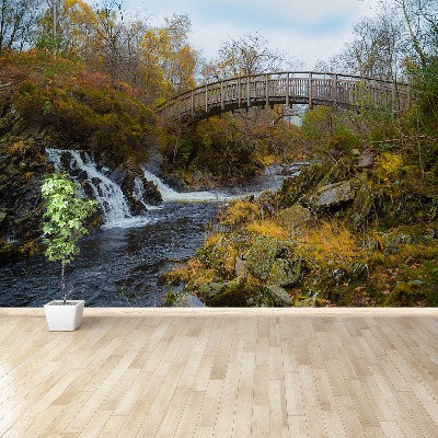 Papel de parede Rio Escócia