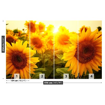 Papel de parede Girassóis