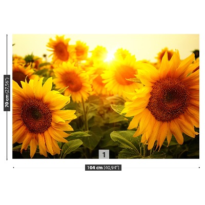 Papel de parede Girassóis