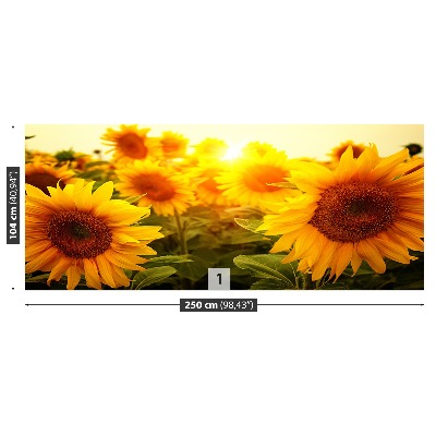 Papel de parede Girassóis