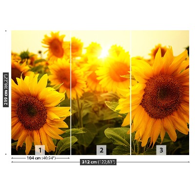 Papel de parede Girassóis