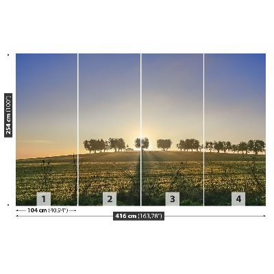 Mural de parede olival