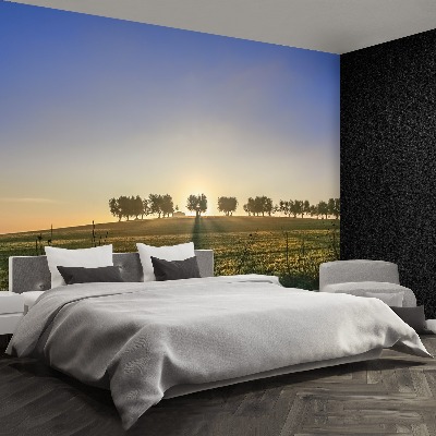 Mural de parede olival