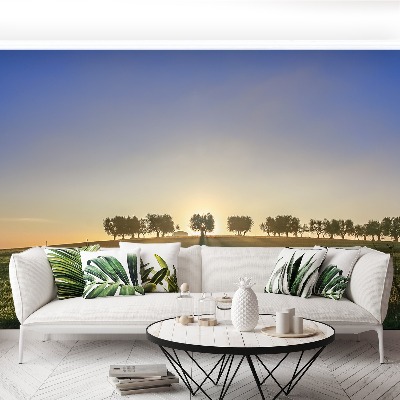 Mural de parede olival