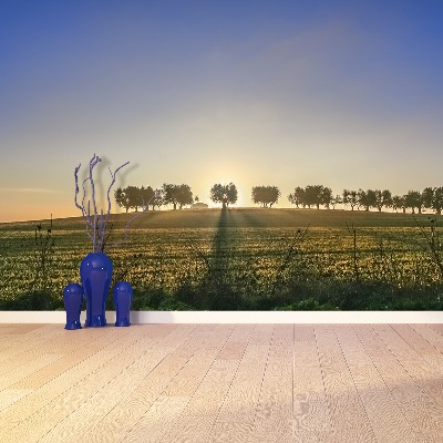 Mural de parede olival