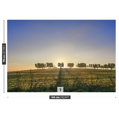 Mural de parede olival