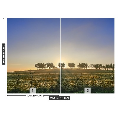 Mural de parede olival