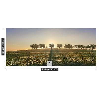 Mural de parede olival