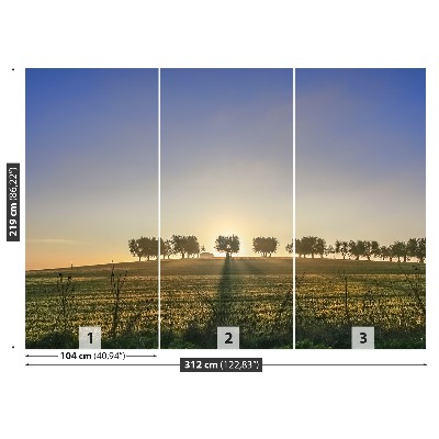 Mural de parede olival